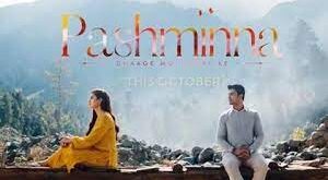 Pashminna is a a Sony Tv Hindi Serial.